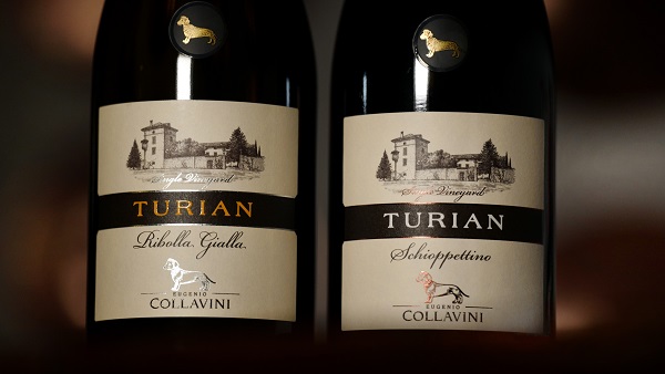 collavini Turian